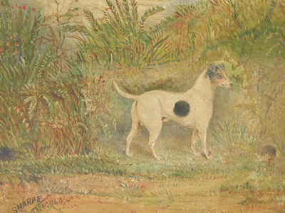 Lot 116 - F Sharpe (19thC/20thC). Terrier, oil on board,...