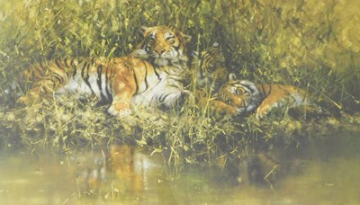 Lot 122 - David Shepherd (1931-2017). Sleepy Tiger,...