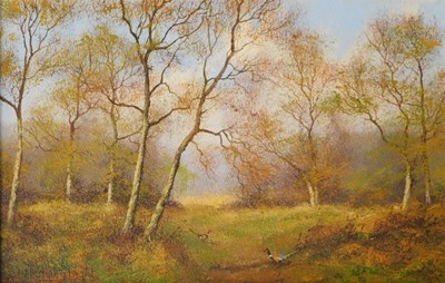 Lot 140 - James Wright (b.1935). Pheasants in woodland...