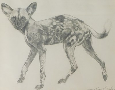 Lot 182 - Jonathan Kingdon (b.1937). Hyena, pencil...