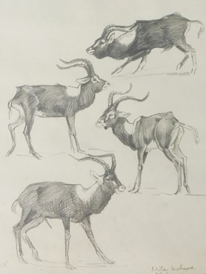 Lot 183 - Jonathan Kingdon (b.1937). Nile lecture,...