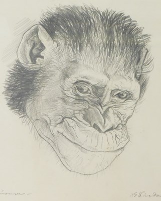 Lot 184 - Jonathan Kingdon (b.1937). Chimpanzee, pencil...