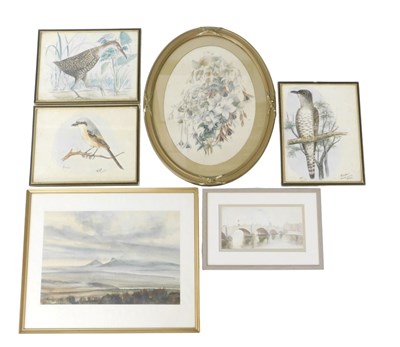 Lot 283 - R S J H. (19th/20thC). Bird studies,...