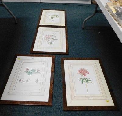 Lot 2050 - After Franx Andreas Bower, four floral...