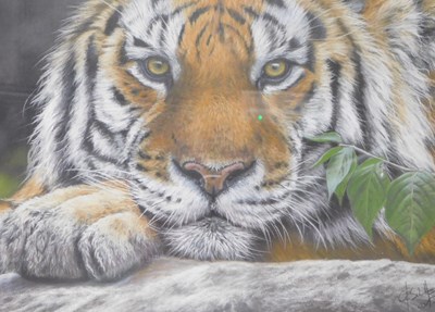 Lot 348 - Christina Schulte (20thC). Tiger, pastel,...