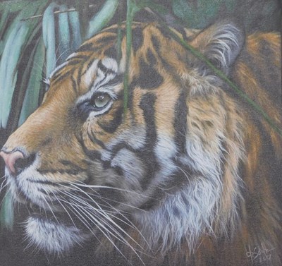 Lot 350 - Christina Schulte (20thC). Tiger, oil on board,...