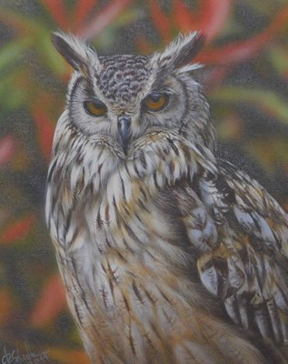 Lot 351 - Christina Schulte (20thC). Owl, oil on board,...