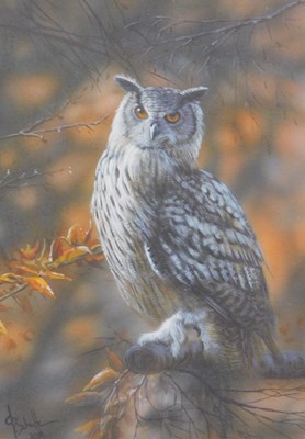 Lot 352 - Christina Schulte (20thC). Owl, oil on canvas...