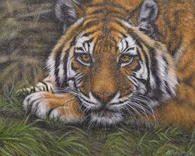 Lot 355 - Christina Schulte (20thC). Tiger, oil on board,...