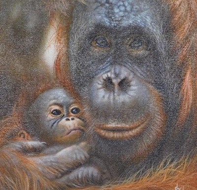 Lot 356 - Christina Schulte (20thC). Orangutan, oil on...