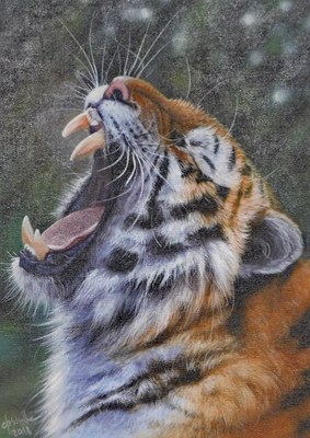 Lot 600 - Christina Schulte (20thC). Tiger, oil on board,...