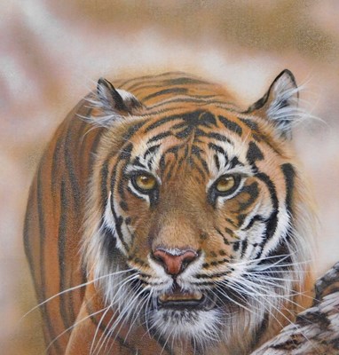 Lot 361 - Christina Schulte (20thC). Tiger, oil on board,...
