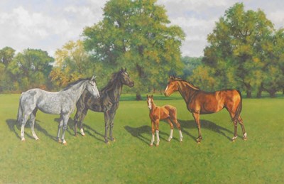 Lot 447 - Stephen Park (b.1953). Horses with foal, oil...
