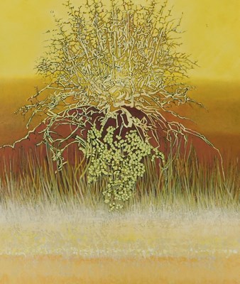 Lot 488 - John Lincoln (b.1944). Fen thorn, oil on...