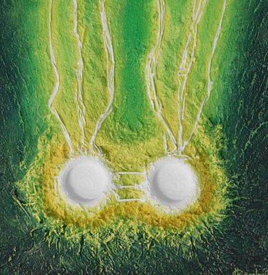 Lot 496 - John Lincoln (b.1944). Seed division, acrylic...