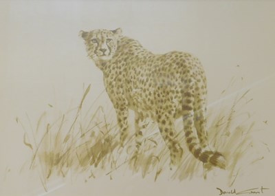 Lot 401 - Donald Grant. Cheetah, watercolour, signed,...