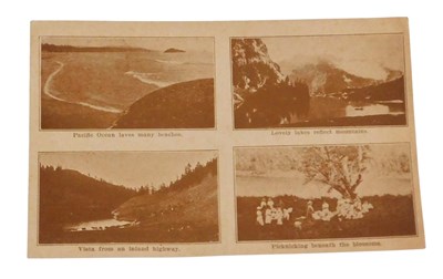 Lot 307 - An early 20thC four part topographical...