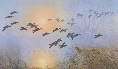 Lot 262 - After Peter Markham Scott (British 1909-1989)....