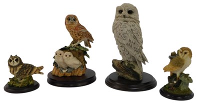 Lot 180 - A group of owl figures, comprising Border Fine...