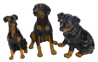 Lot 533 - A Border Fine Arts figure of a Dobermann,...