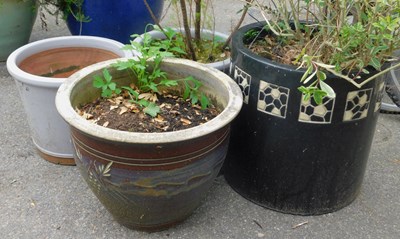 Lot 560 - A group of garden planters, including a black...