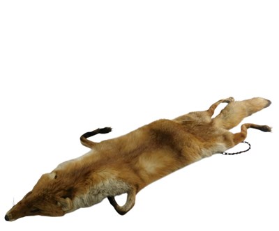 Lot 502 - A Parsons & Shute Ltd Fox fur stole.
