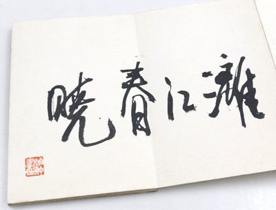 Lot 37 - Chinese School (20thC). A book showing a...