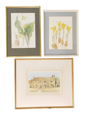Lot 559 - Joan Charnley. Botanical studies, watercolours,...