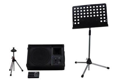 Lot 781 - A Peavey ES-12M monitor enclosure, a Universal...