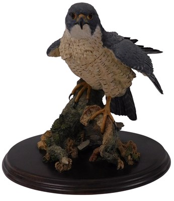 Lot 21 - A Country Artists figure of a Peregrine Falcon,...