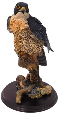 Lot 33 - A Country Artists figure of a Peregrine Falcon...