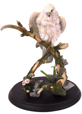 Lot 37 - A Country Artists figure of a Gyrfalcon...