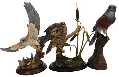 Lot 43 - A Country Artists figure of a Hen Harrier,...