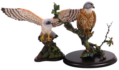 Lot 47 - A Country Artists figure of a Kestrel with May...