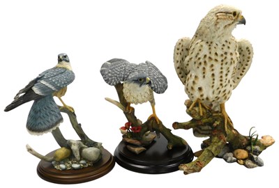 Lot 53 - A Country Artists figure of a Saker Falcon,...