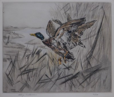 Lot 159 - Henry Wilkinson (1887-1971). Two lapwings in a...