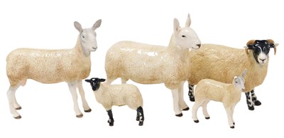 Lot 241 - Five Border Fine Arts pottery figures of sheep,...