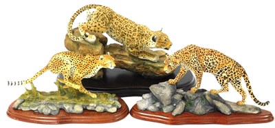 Lot 251 - A Country Artists Natural World Leopard...