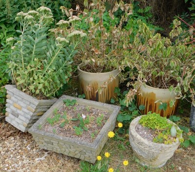 Lot 296 - A group of garden plant pots, to include a...