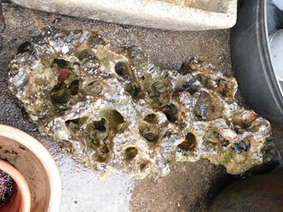 Lot 1662 - A section of rock with holes, 65cm wide.