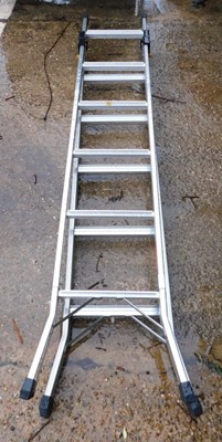 Lot 1667 - An extending ladder.