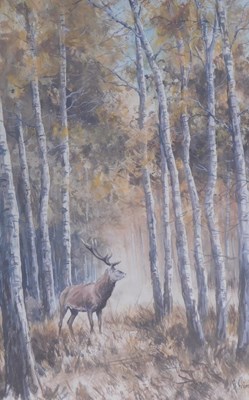 Lot 1015 - Arnaud Freminet. Stag in a woodland landscape,...