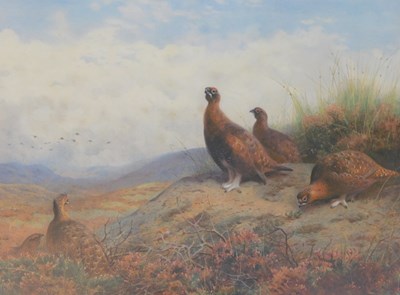 Lot 1012 - After Archibald Thorburn. Grouse on moor,...