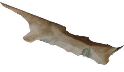 Lot 1107 - A small antelope skin fragment.