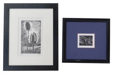 Lot 204 - Frank W Marston. Study of teazel and grasses,...
