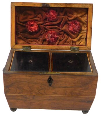 Lot 671 - A Regency rosewood sarcophagus tea caddy, with...