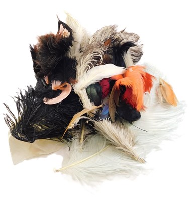 Lot 137 - A collection of feathers, for dresses and hats,...
