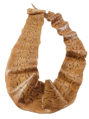 Lot 143 - A snake skin.