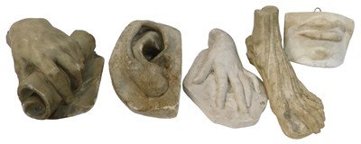 Lot 545 - A group of plaster castings, comprising a hand...