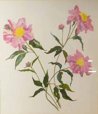 Lot 424 - Heather Stirling (20thC). Floral, watercolour,...